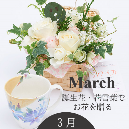 3月の誕生花と花言葉　3月のお誕生日に誕生花をプレゼントしよう
