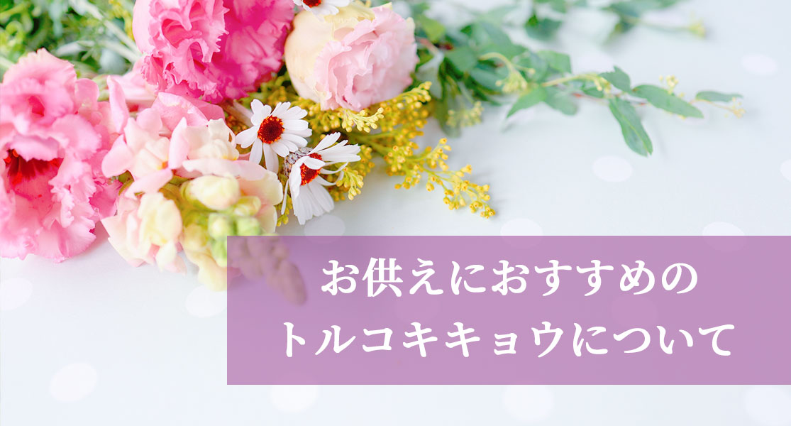 お供えのお花におすすめのトルコキキョウについて徹底解説