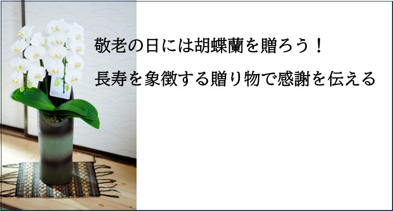 敬老の日には胡蝶蘭を贈ろう！長寿を象徴する贈り物で感謝を伝える